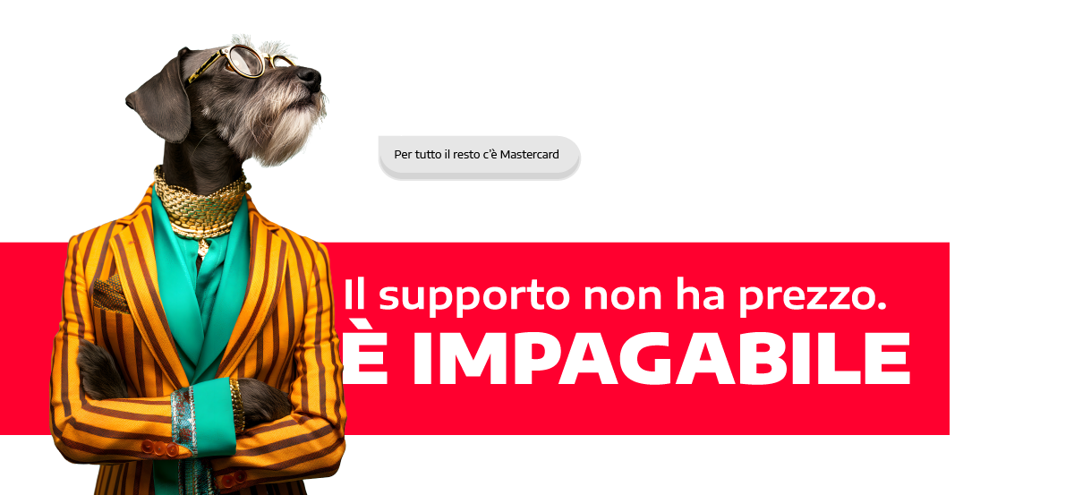 Supporto online, video, telefonico, faq e dizionario